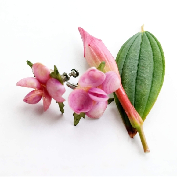 VINTAGE SHELL 1950 Delicate Natural Pink Rose Floral Screw-On Flower Earrings - Picture 1 of 6